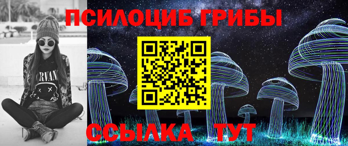 Псилоцибиновые грибы GOLDEN TEACHER  Вход с VPN  Воркута  Псилоцибиновые грибы мицелий 